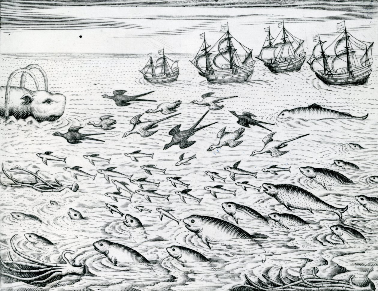 Tengeri tájkép, Illusztráció az „India Orientalisból”, 1598 alkotó: Theodore de Bry