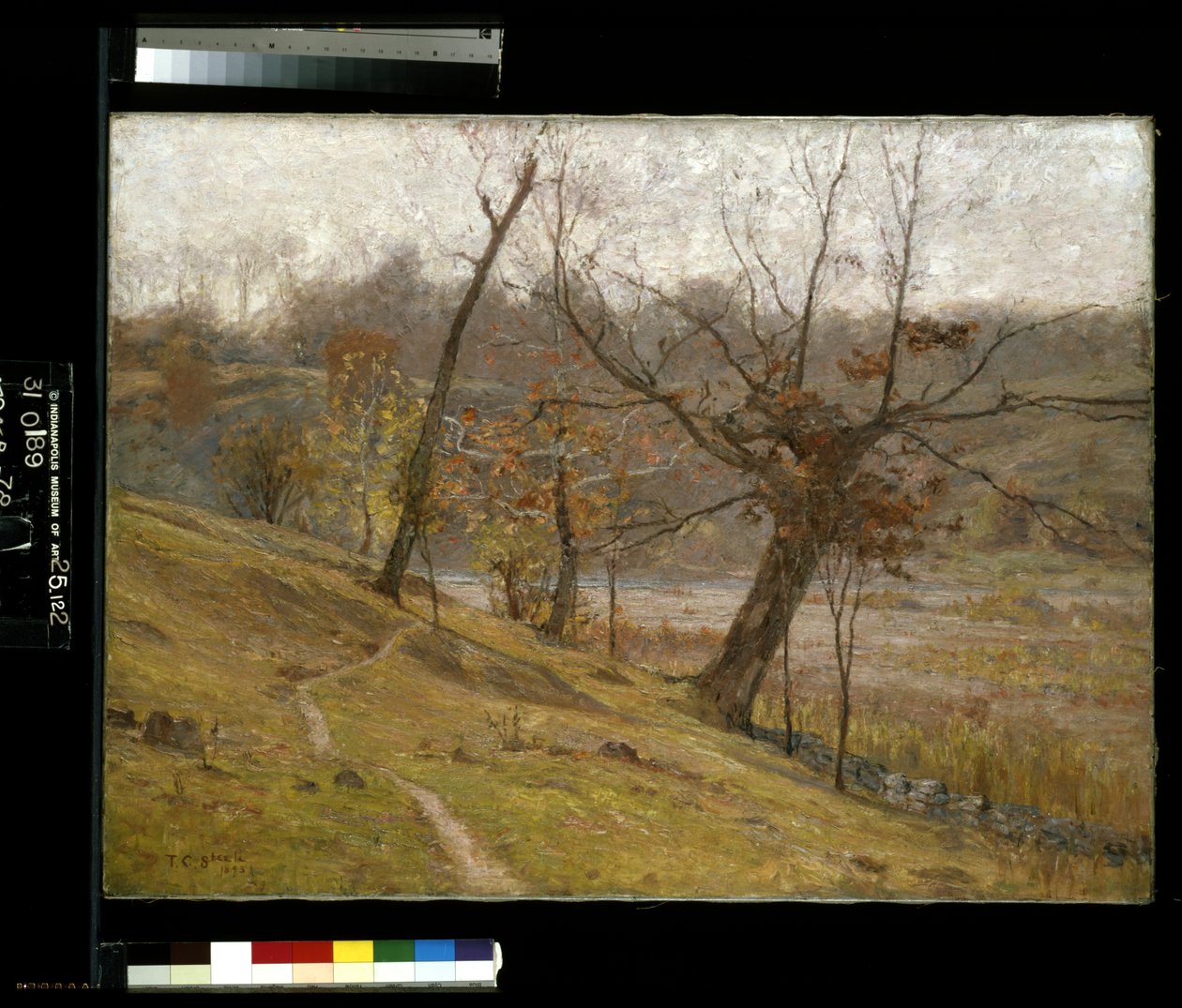 The Bloom Of The Grape (olaj, vászon) alkotó: Theodore Clement Steele