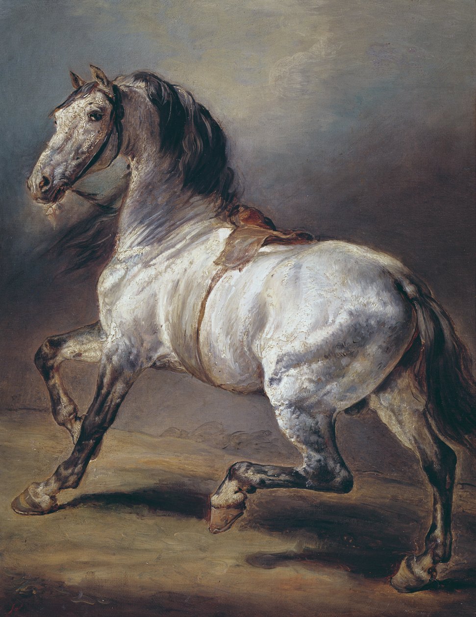 Tanulmány egy lóról alkotó: Theodore Gericault