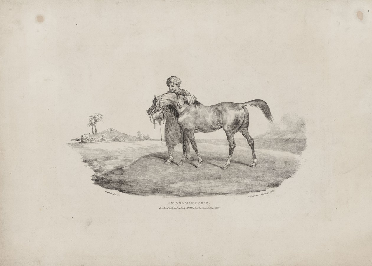Egy arab ló alkotó: Theodore Gericault
