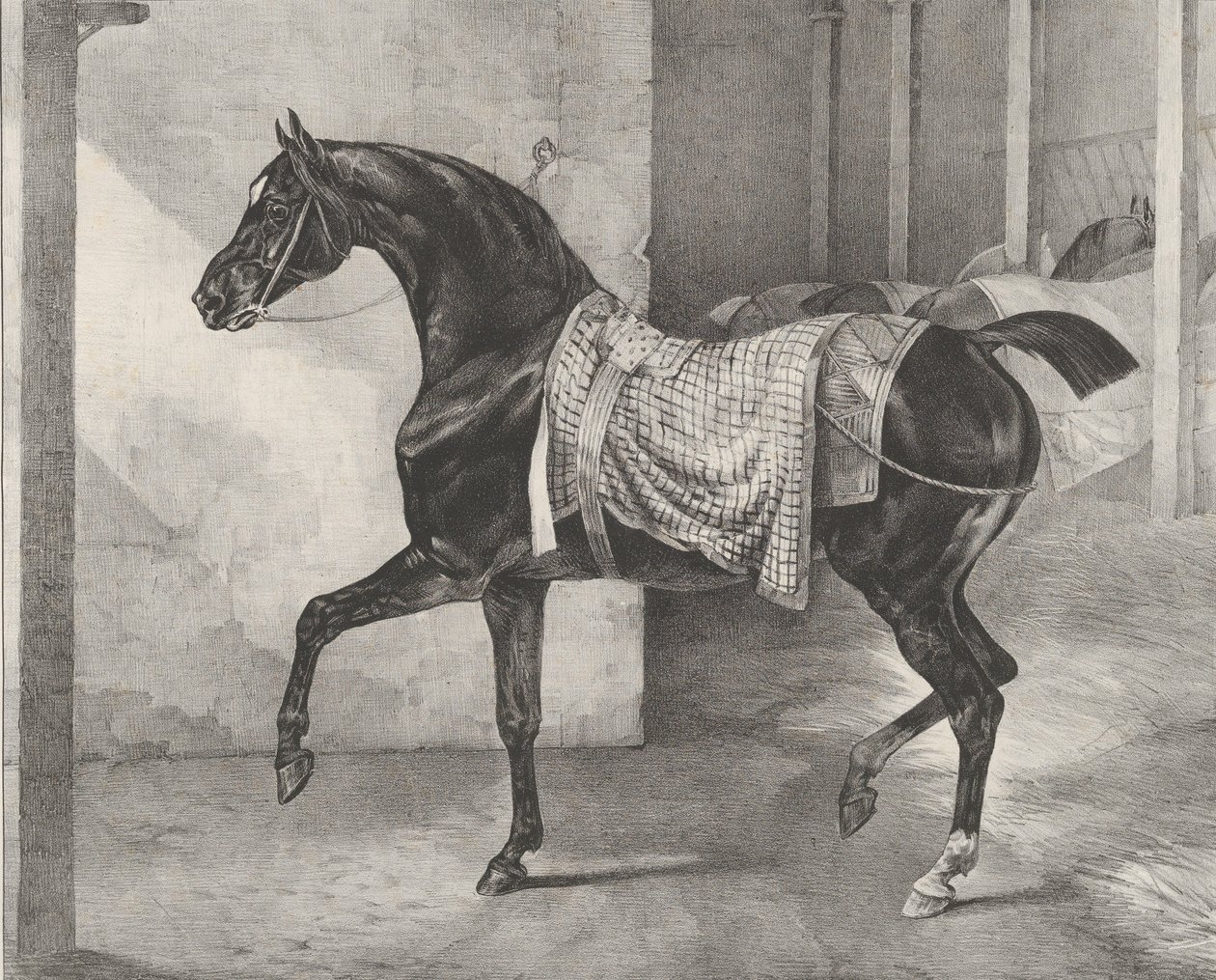 Fekete ló egy istállóba kötve, 1822. alkotó: Theodore Gericault