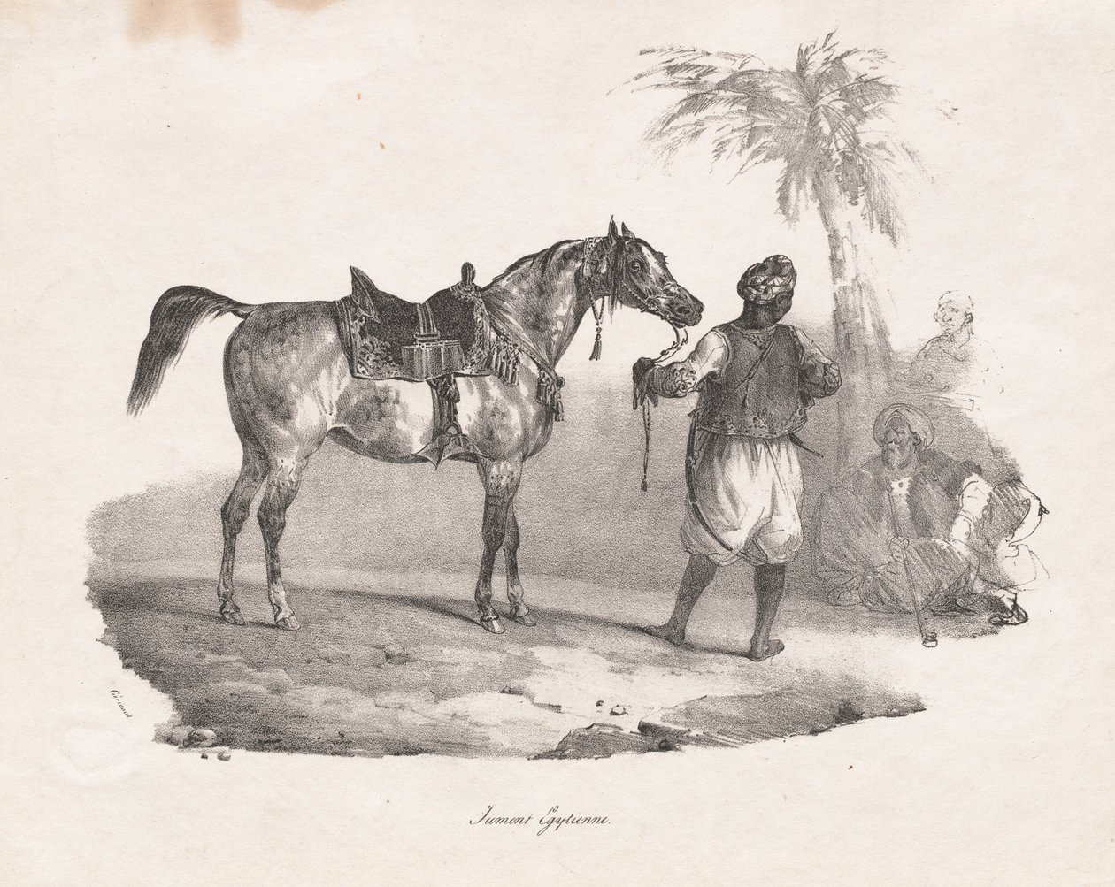 Egyiptomi kanca alkotó: Theodore Gericault