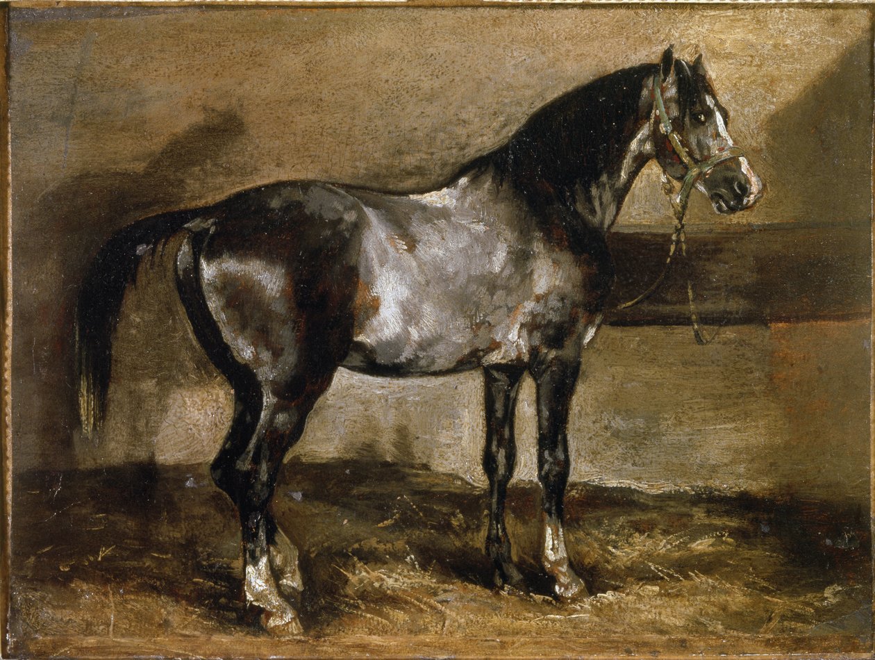 Gray Horse at the Ratelier - olaj, vászon alkotó: Theodore Gericault