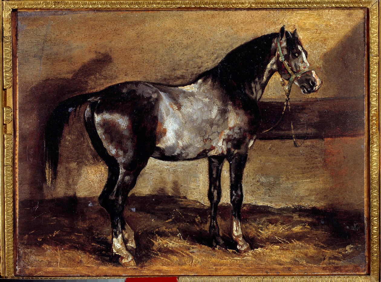 Gray Horse at the Ratelier Theodore Gericault festménye (1791-1824) 19. századi nap. 0,26x0,34 m alkotó: Theodore Gericault