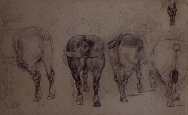 Hámozott lovak (ceruza) alkotó: Theodore Gericault