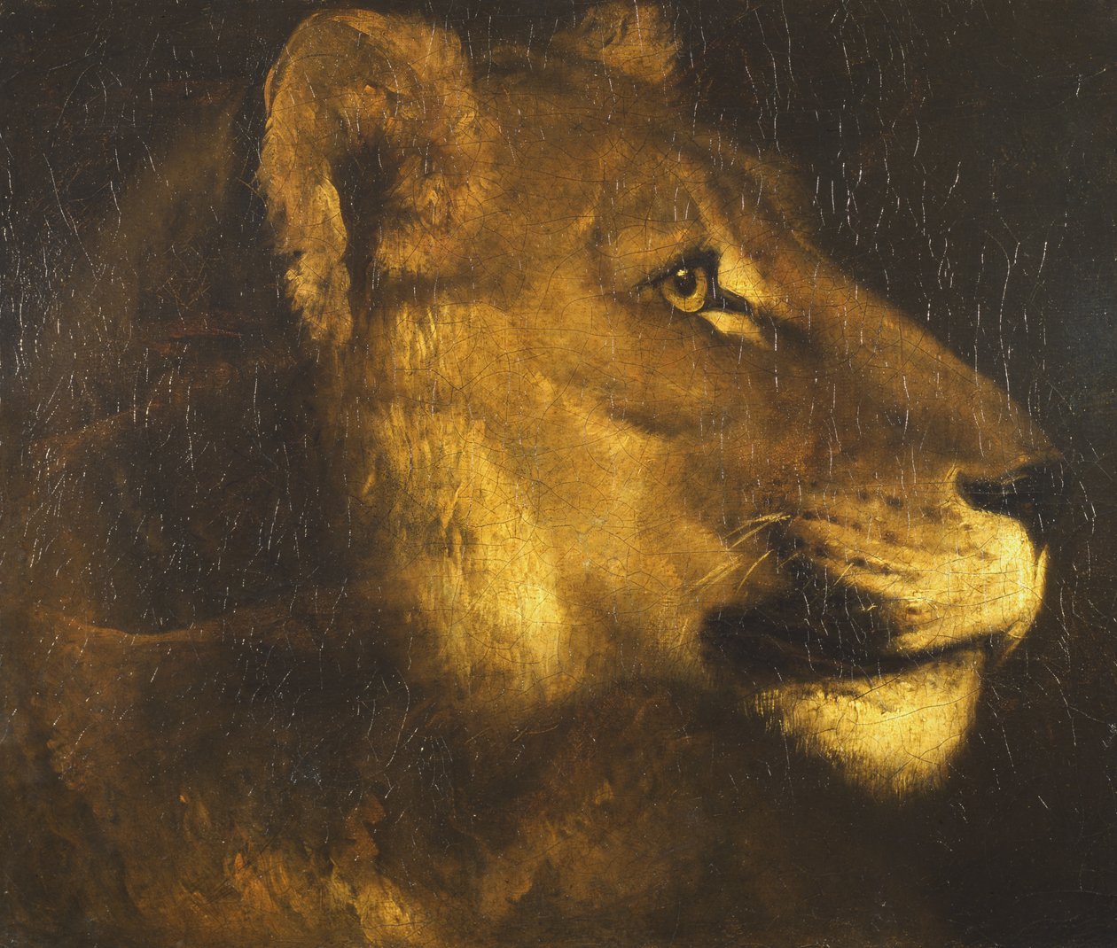Oroszlánfej alkotó: Theodore Gericault