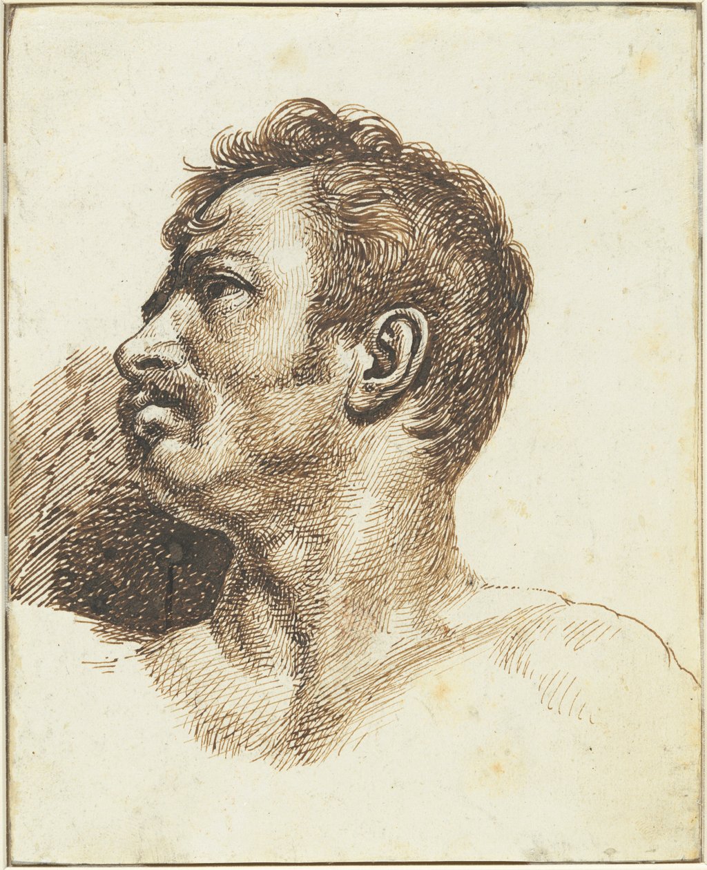 Egy férfi feje [előlap] alkotó: Theodore Gericault