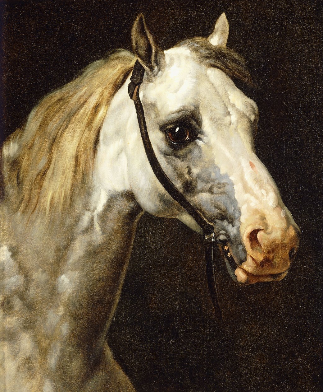 Egy piebald ló feje, alkotó: Theodore Gericault