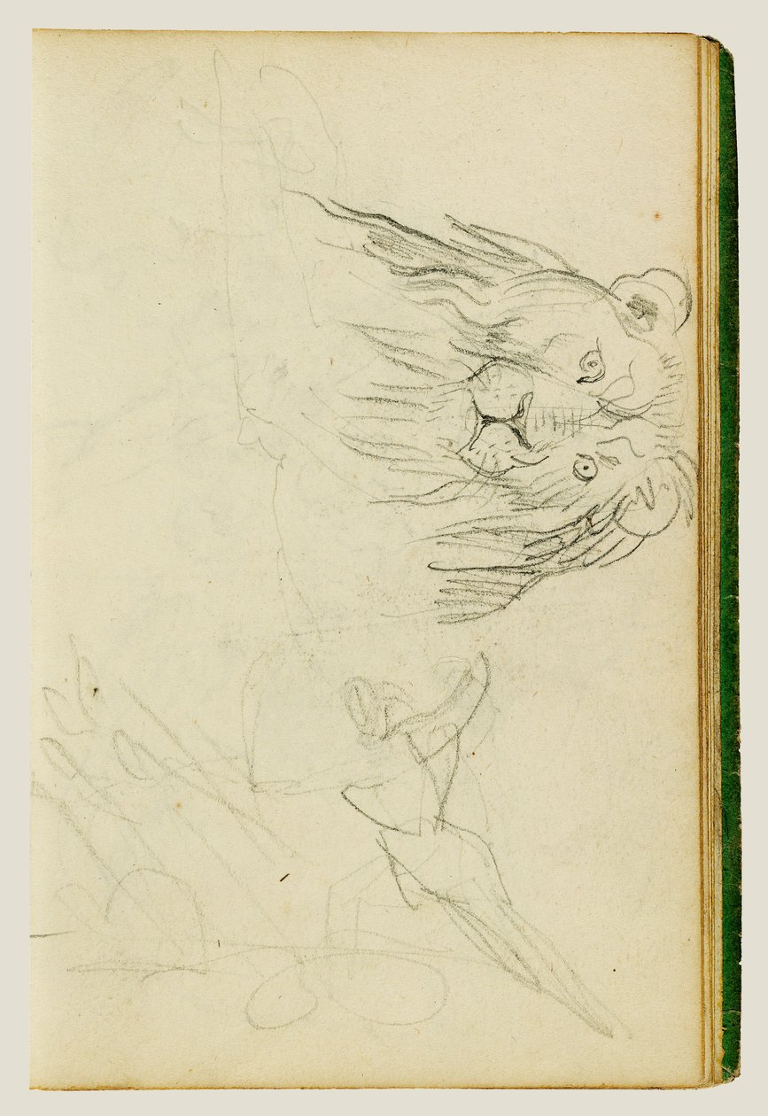 Ülő oroszlán elölnézete alkotó: Theodore Gericault