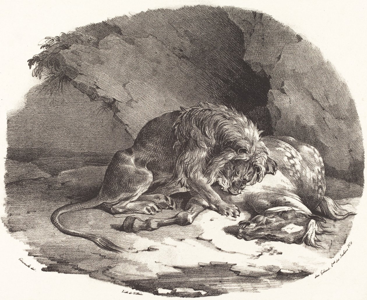 Az oroszlán felfalta ló (Cheval devore par un lion) alkotó: Theodore Gericault