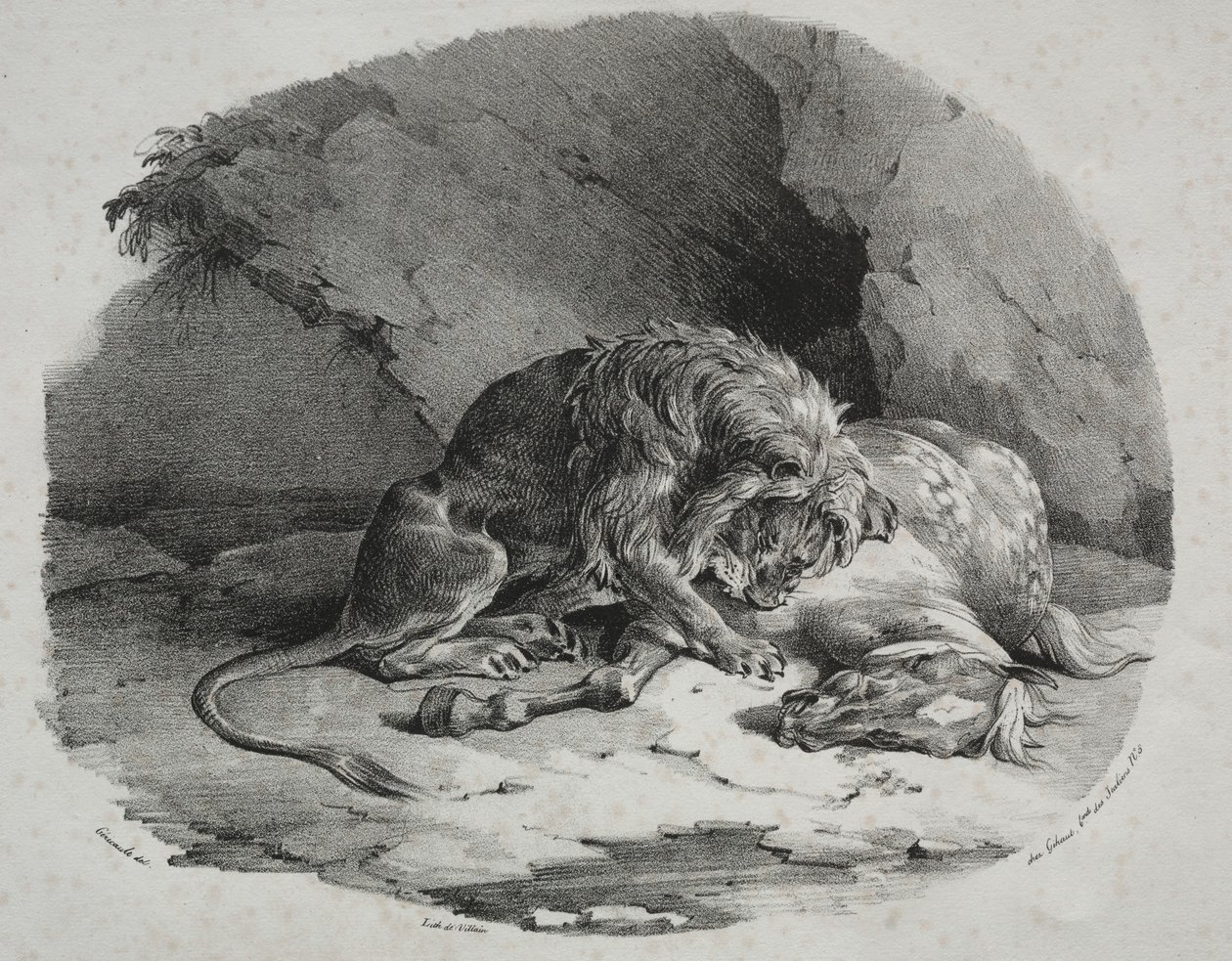 Az oroszlán által felfalt ló, 1823. alkotó: Theodore Gericault