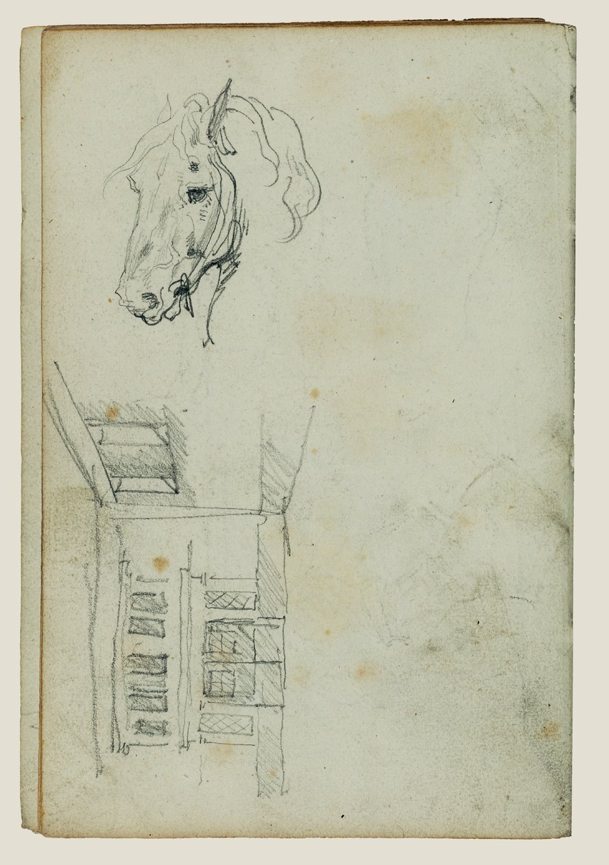 Lófej, udvari nézet alkotó: Theodore Gericault