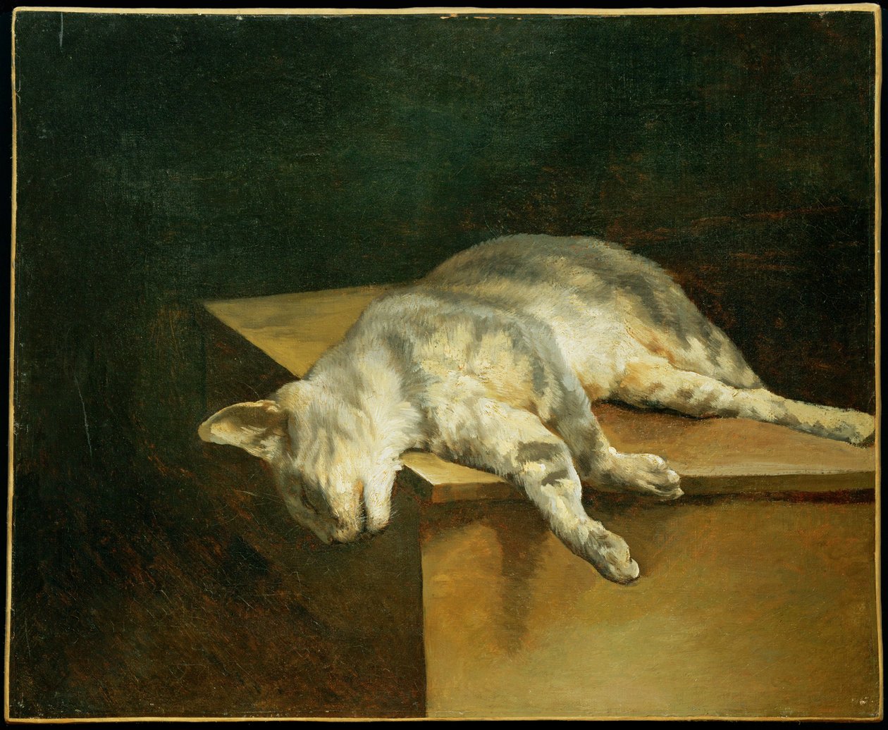Le chat mort - A halott macska ... alkotó: Theodore Gericault
