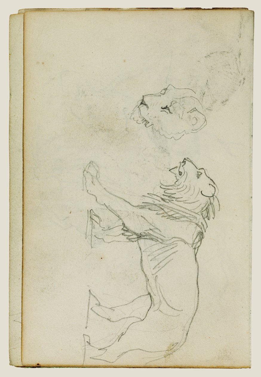 Sétáló oroszlán, oroszlánnő feje alkotó: Theodore Gericault