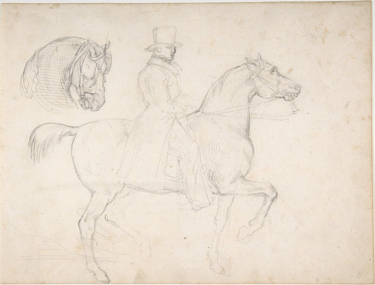 Lovas férfi és lófej-tanulmány alkotó: Theodore Gericault
