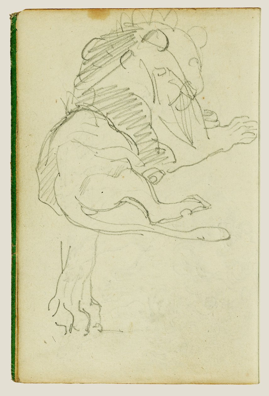 Ülő oroszlán alkotó: Theodore Gericault