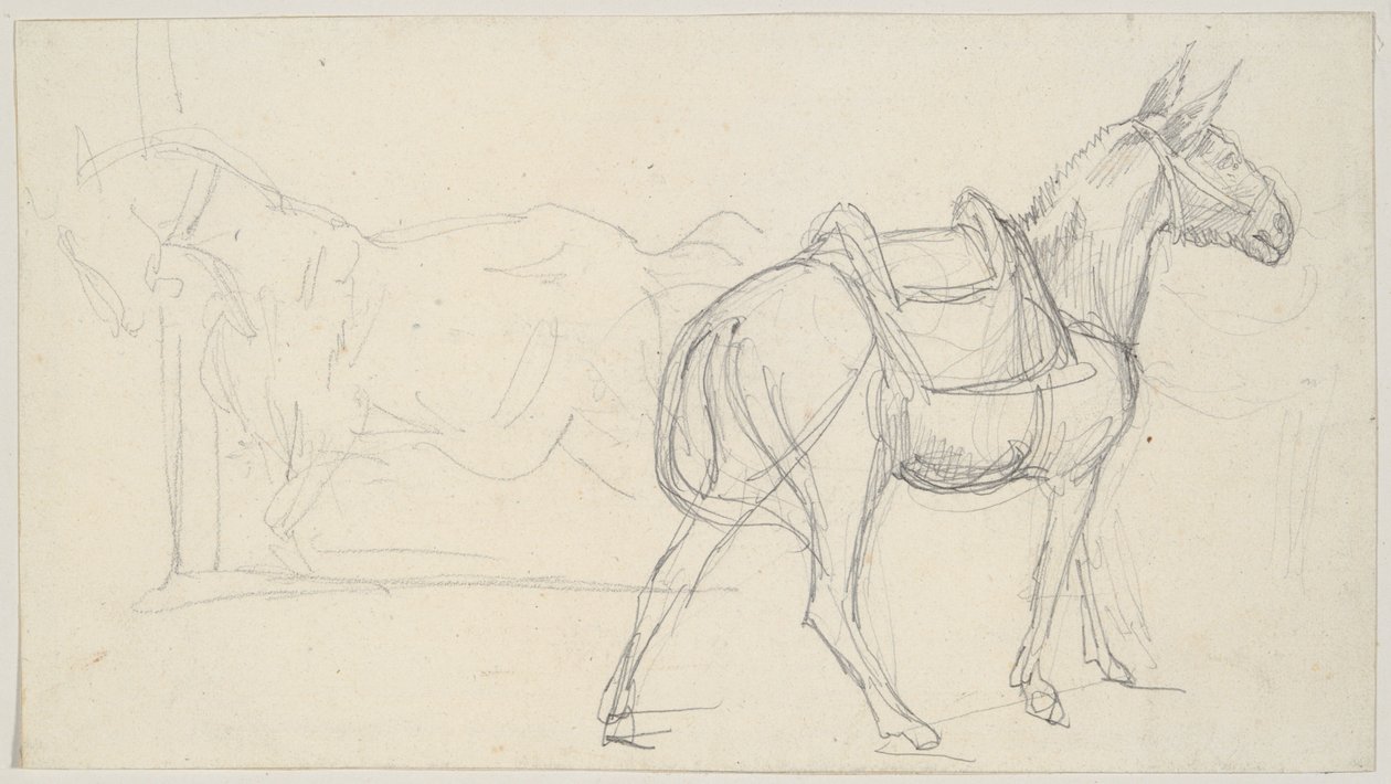 Lóvázlat alkotó: Theodore Gericault