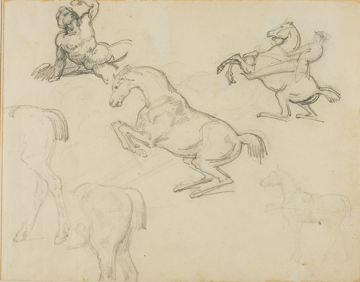 Vázlatok: Lovas és különböző lovak alkotó: Theodore Gericault