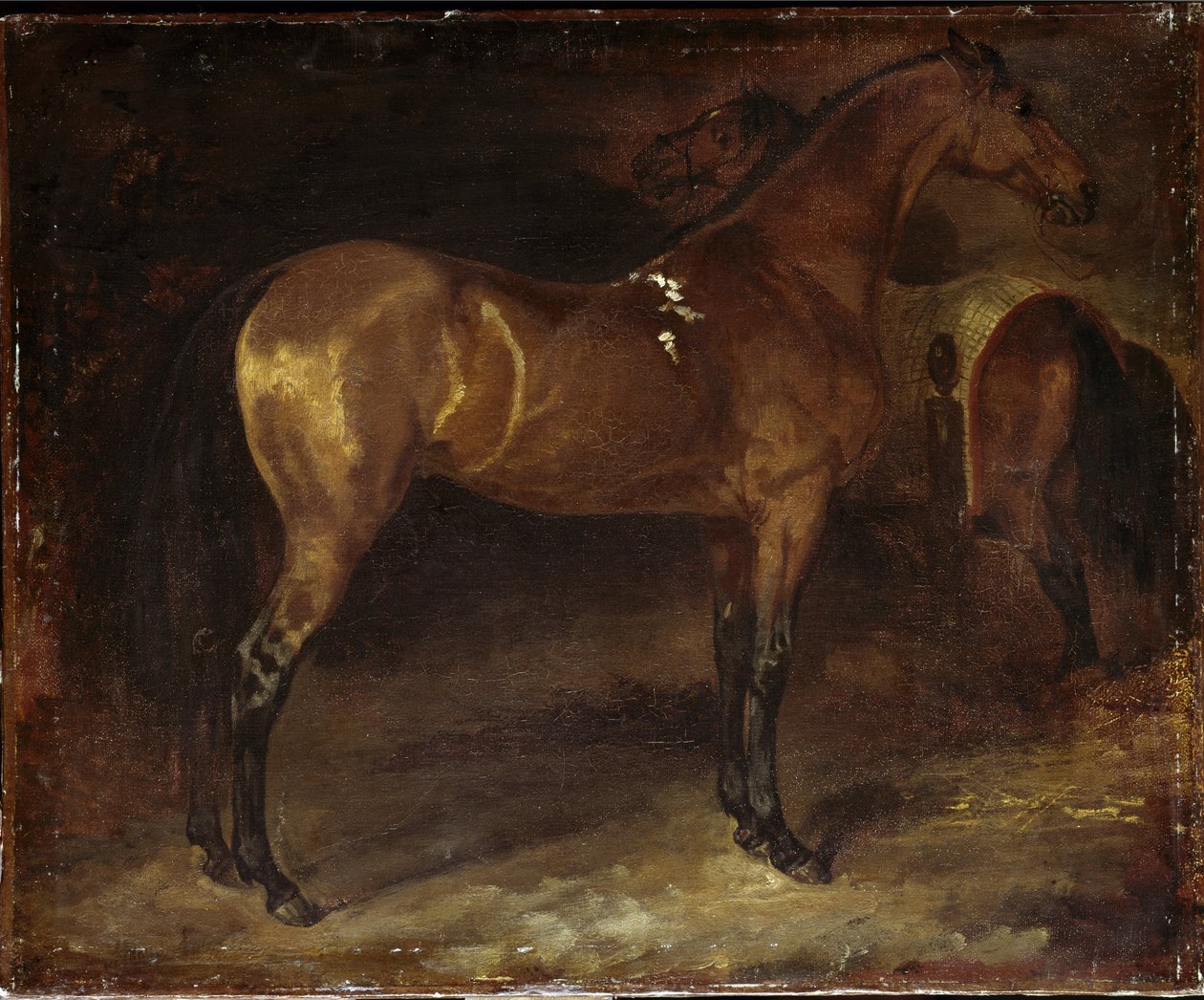 Spanyol ló - olaj, vászon alkotó: Theodore Gericault