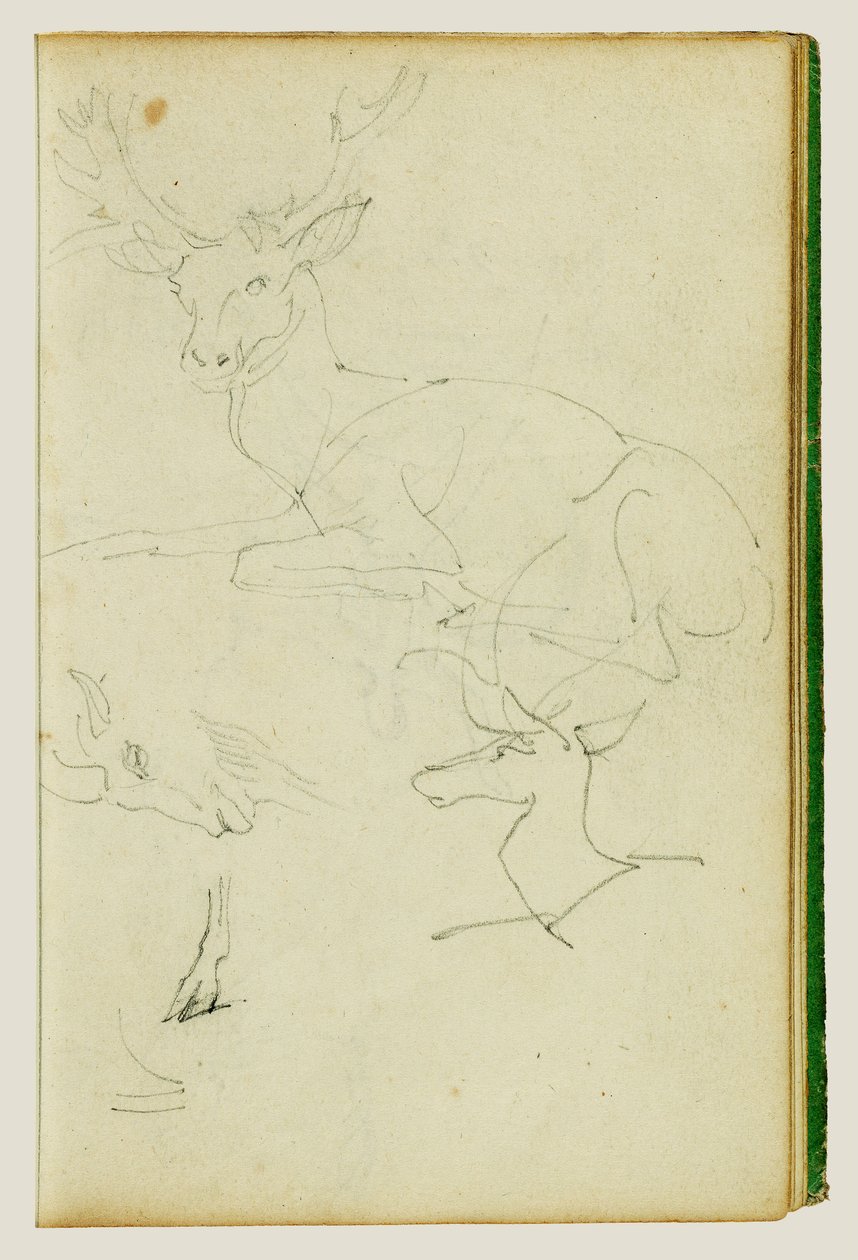 Egy ülő szarvas, egy szarvasborjú és egy kecskekopf ábrázolásáról szóló tanulmányok alkotó: Theodore Gericault