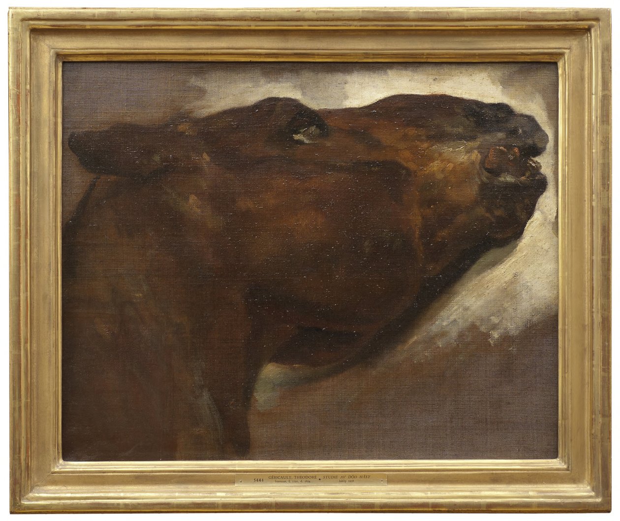 Egy halott ló tanulmányozása alkotó: Theodore Gericault