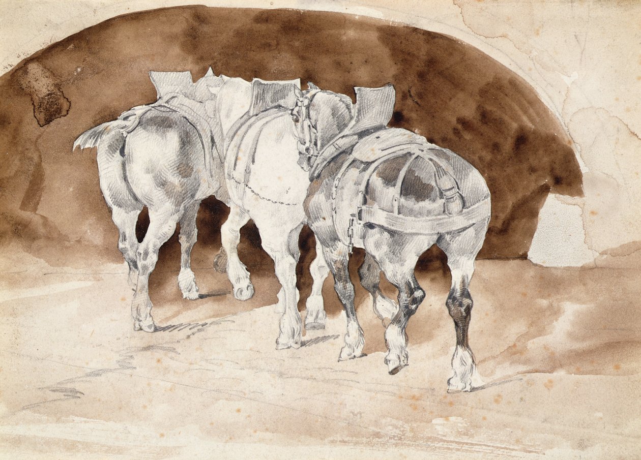 Három nehéz ló hámban (ceruza és szépia mosás) alkotó: Theodore Gericault