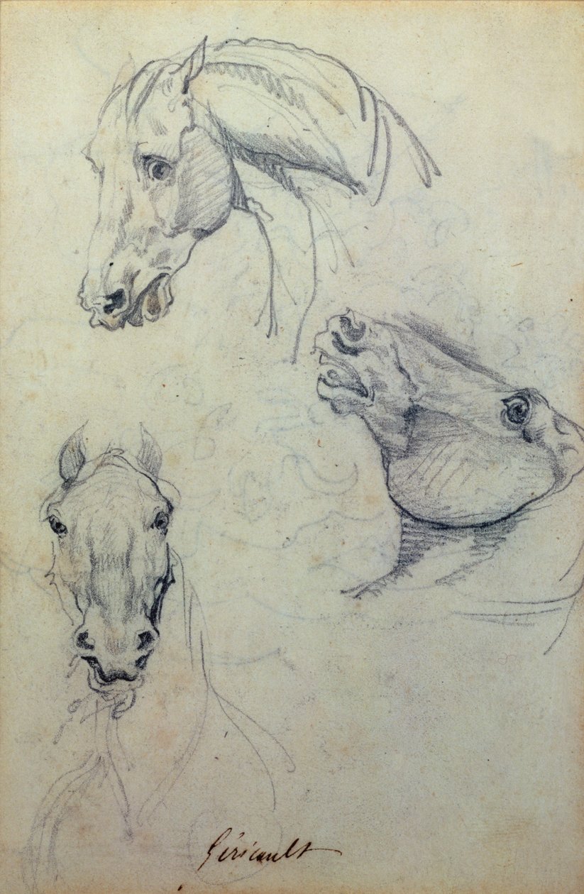 Három lófej (ceruza) alkotó: Theodore Gericault