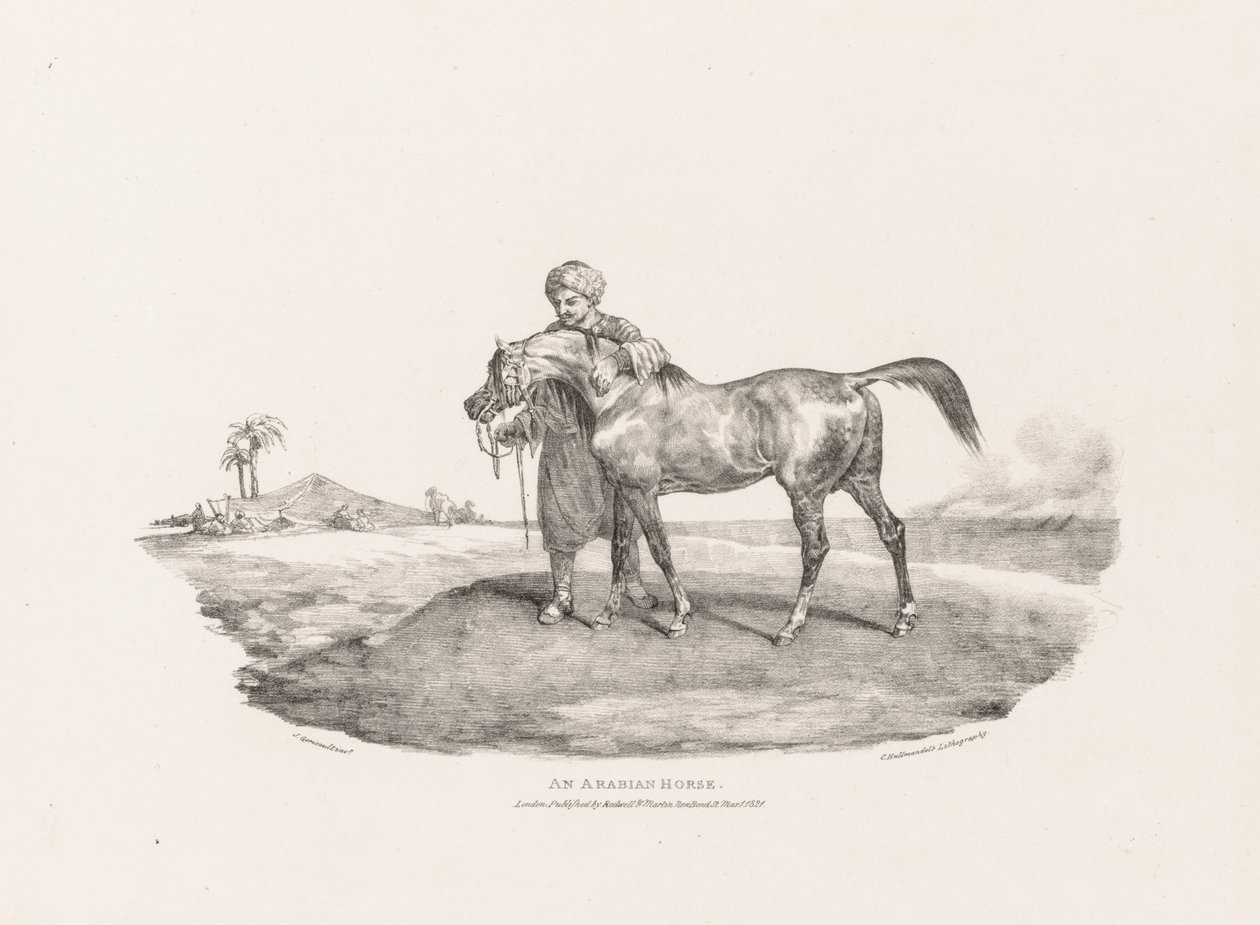 Különféle témák életről és kőre rajzolva:  Egy arab ló alkotó: Theodore Gericault