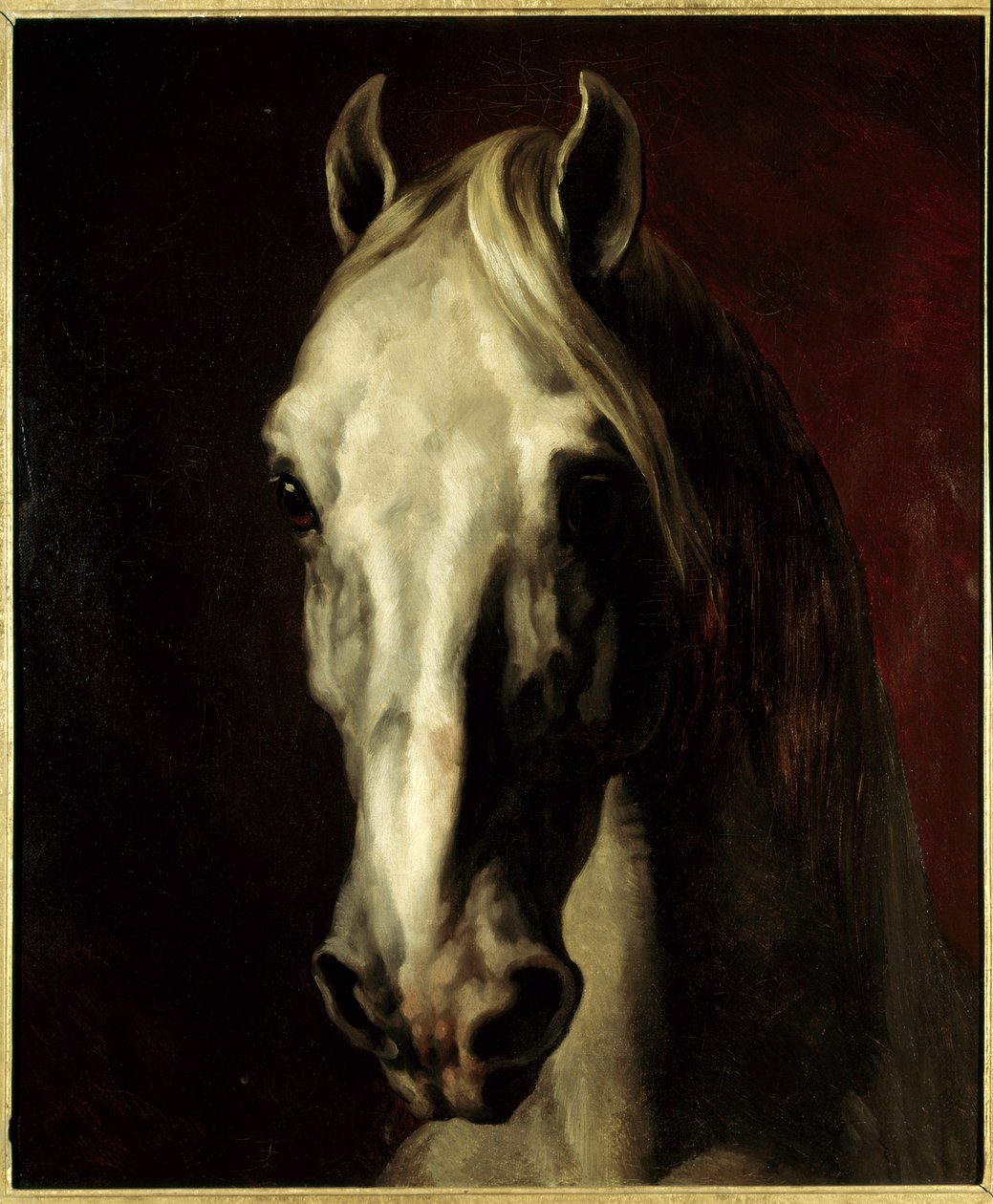 Fehér ló feje. Theodore Gericault festménye (1791-1824) alkotó: Theodore Gericault