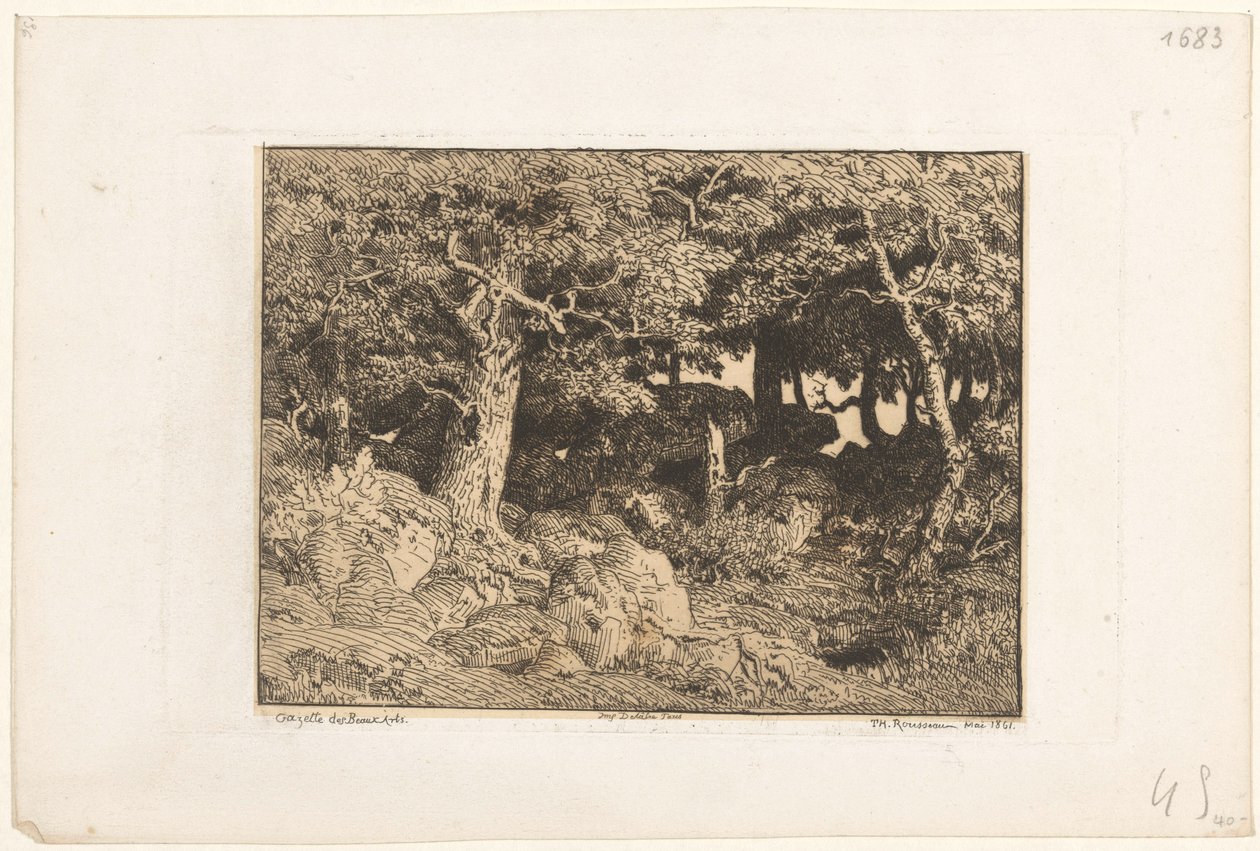 Tölgyfák a sziklákon Chenes de Roche (eredeti cím) alkotó: Theodore Rousseau