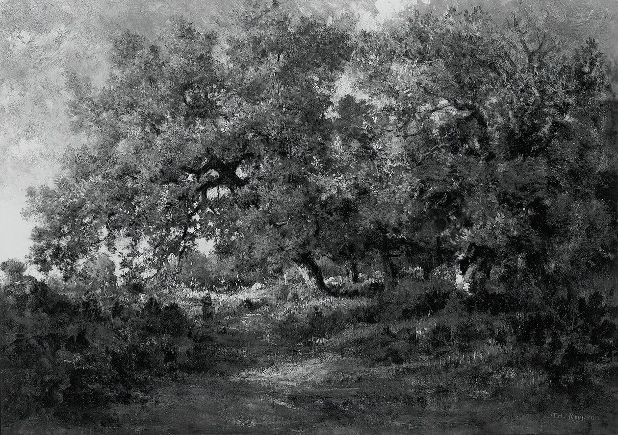 Táj, c. 1860. alkotó: Theodore Rousseau