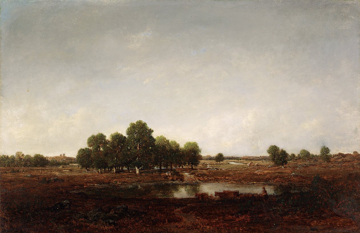Táj, mocsár alkotó: Pierre Etienne Theodore Rousseau