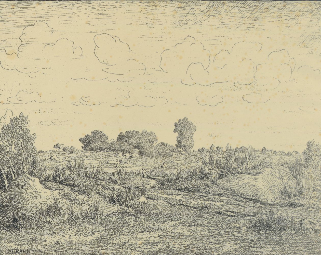 A Plaine de La Plante Biau-ban alkotó: Theodore Rousseau