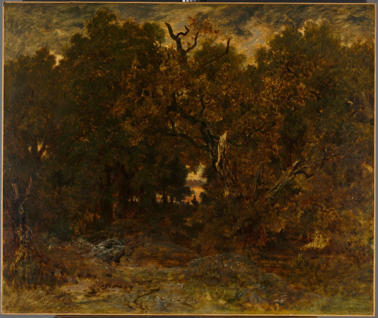 Az erdő elhagyása, Fontainebleau: Fontainebleau: Lemenő Nap alkotó: Theodore Rousseau