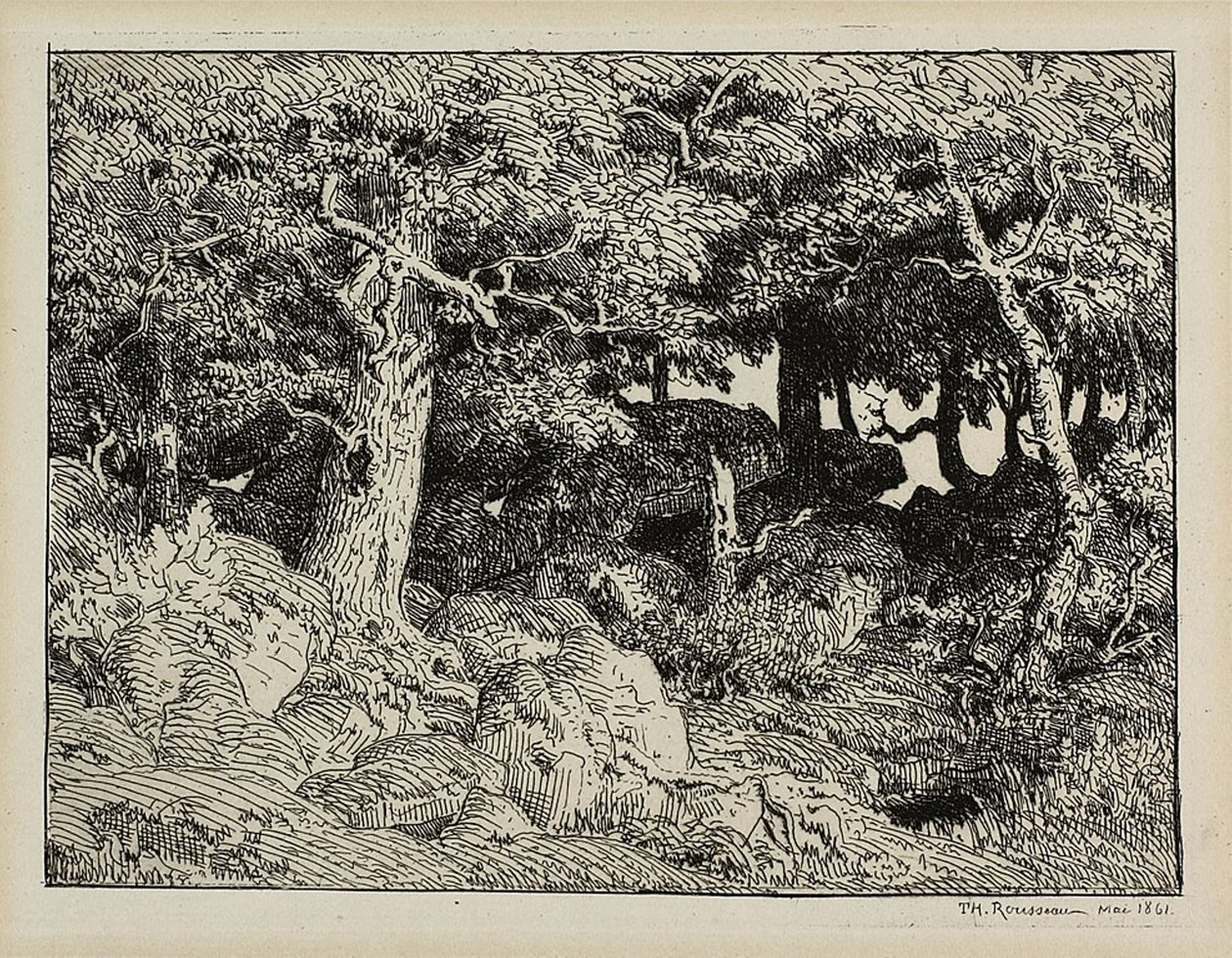 Rocks-i tölgy alkotó: Theodore Rousseau