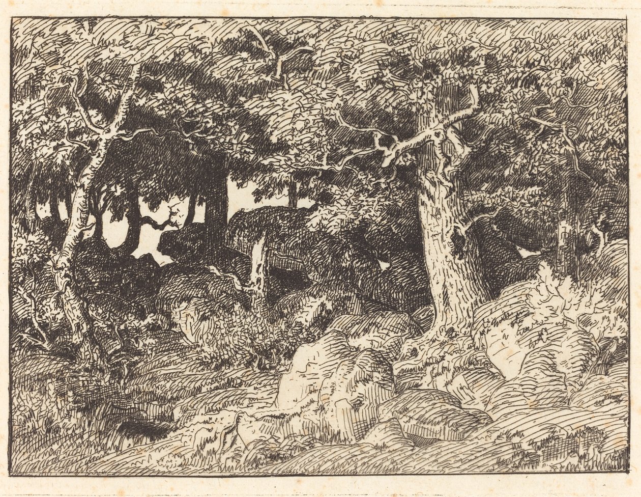 Rock Oaks alkotó: Theodore Rousseau