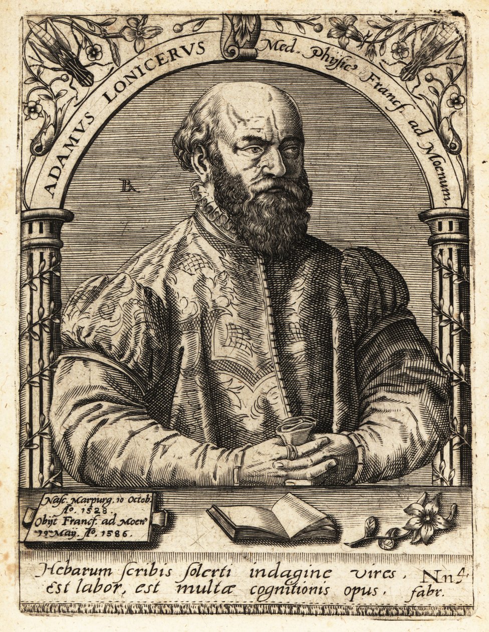 Adam Lonicer vagy Lonitzer alkotó: Theodore de Bry