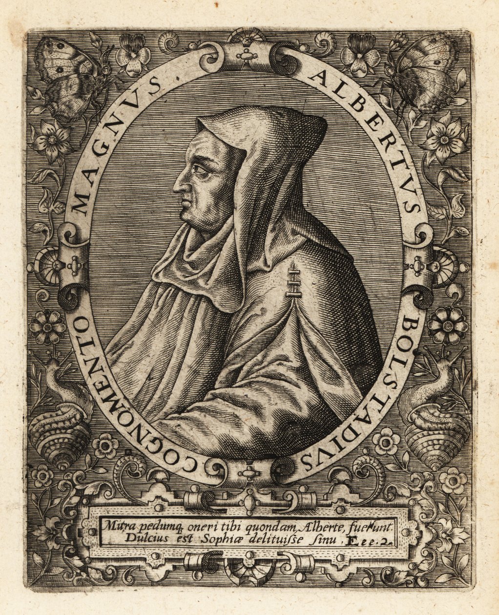 Albertus Magnus német katolikus püspök. alkotó: Theodore de Bry