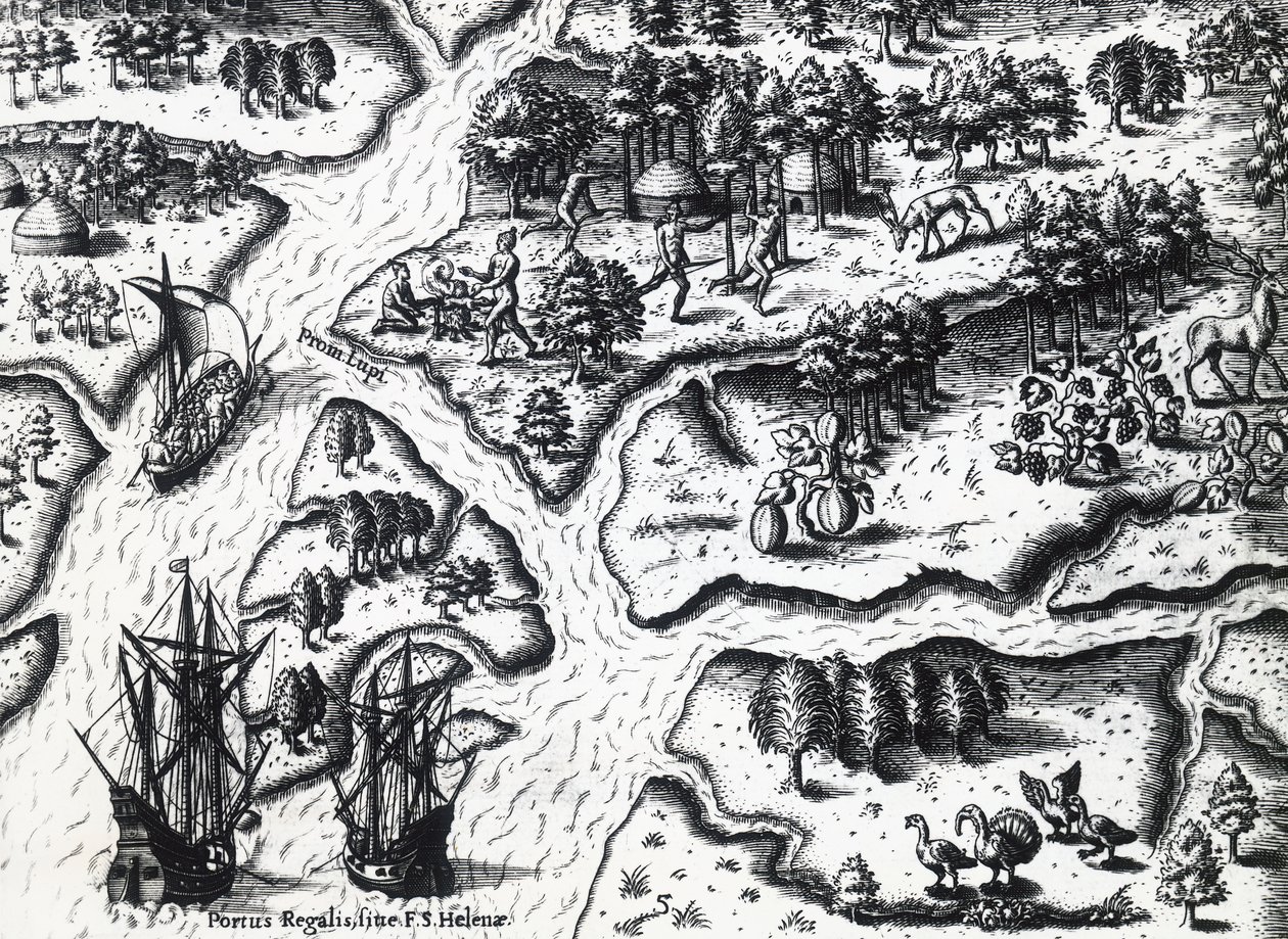 A franciák érkezése Port Royalba 1564-ben, Theodor de Bry (1528-1598) Jacques le Moyne de Morgues (kb. 1533-1588 előtt) festményéből, metszet alkotó: Theodore de Bry