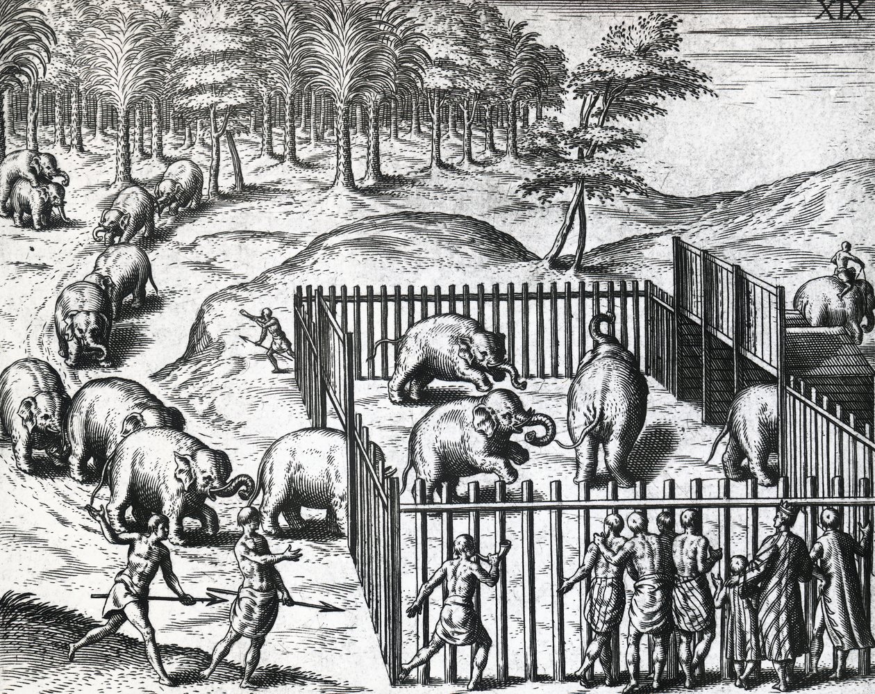 Theodor de Bry (1528-1598) elefántvadászata Pegu királyságában (ma Mianmar), metszet alkotó: Theodore de Bry