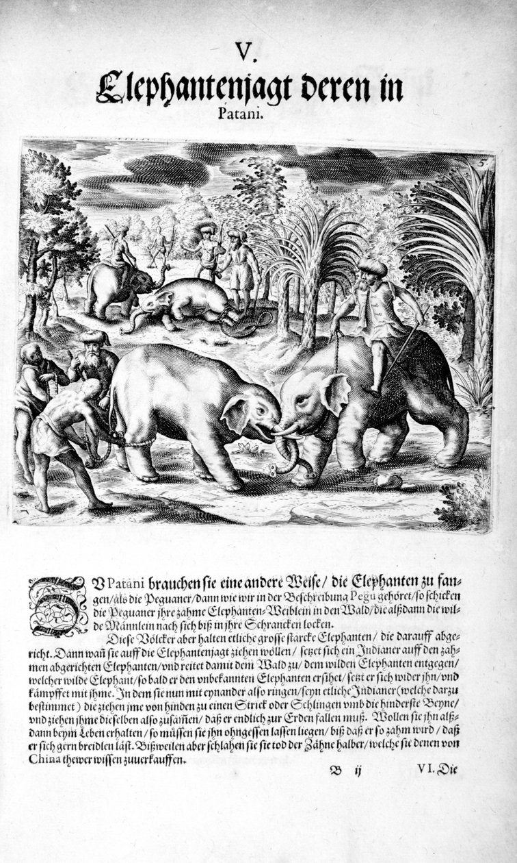 Elefántharc, 1606 alkotó: Theodore de Bry