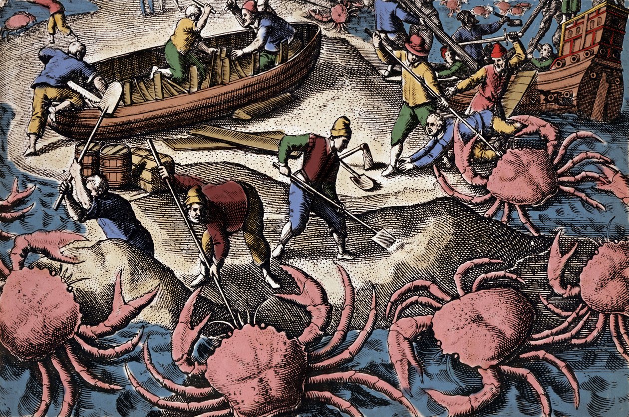 Európai navigátorok harcolnak a nagy rákokkal. Metszet Theodore de Bry „Petities voyages aux Indes Orientales” című könyvéből alkotó: Theodore de Bry