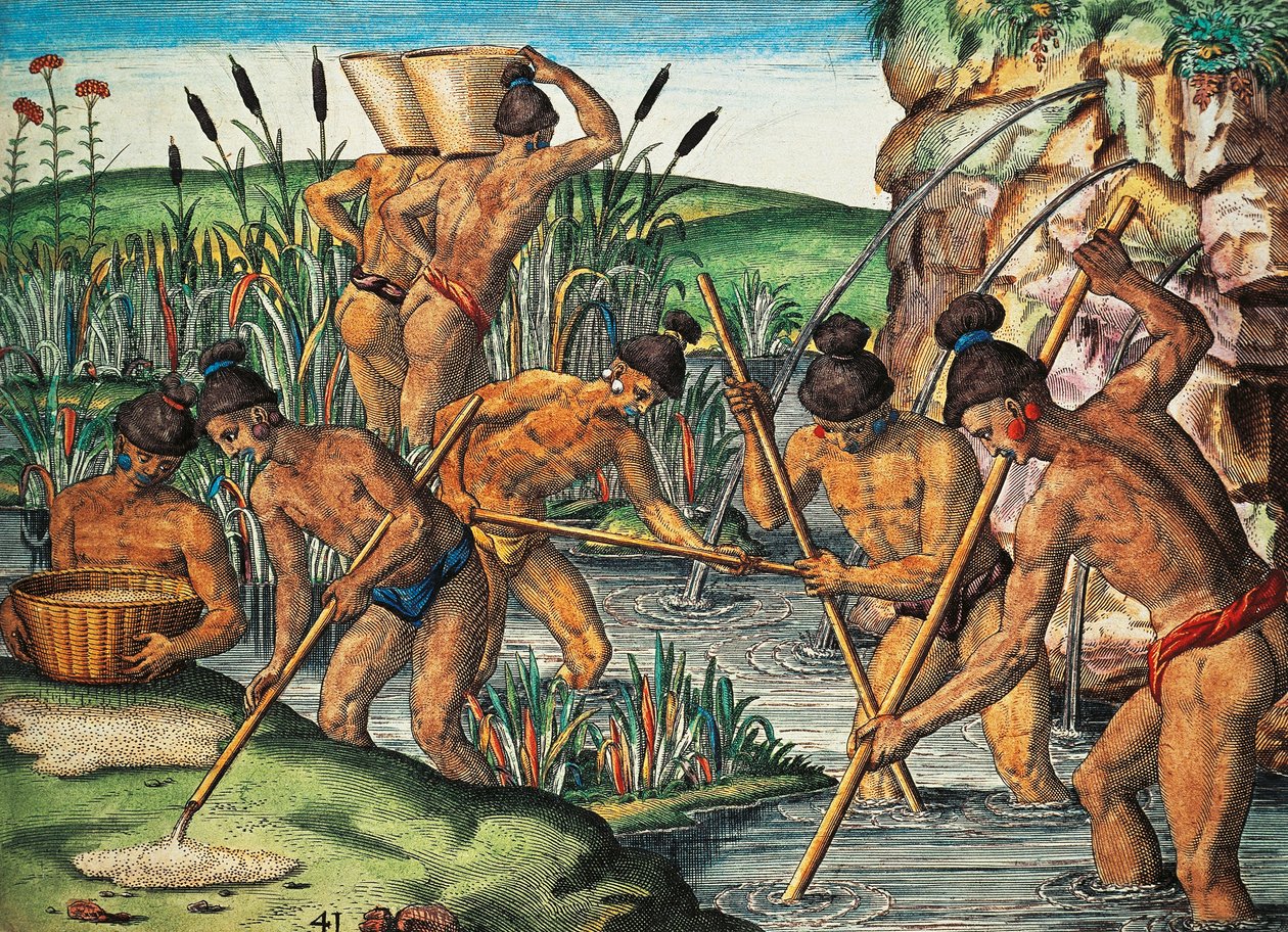Aranyásók Floridában, Theodor de Bry (1528-1598) színes metszete Jacques le Moyne de Morgues festményéről (kb. 1533-1588 előtt), Brevis Narratioból alkotó: Theodore de Bry
