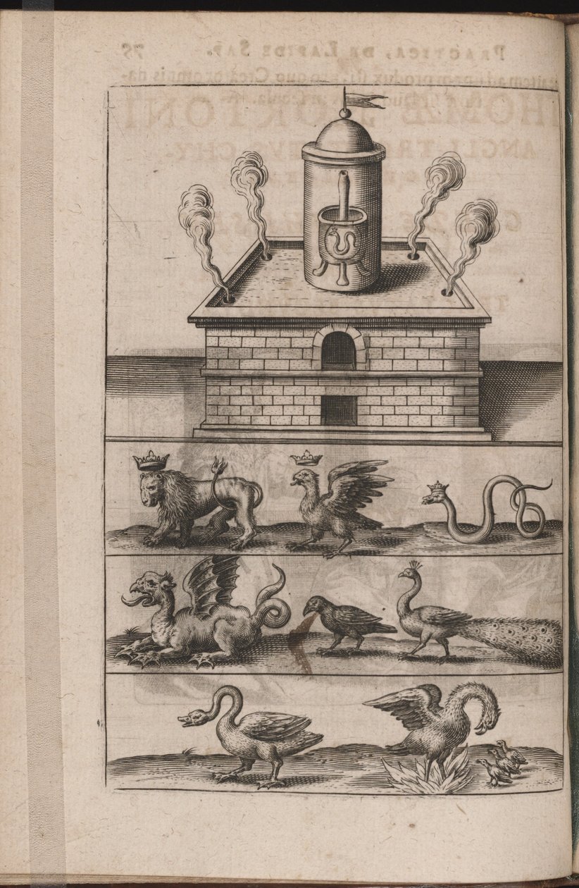 Illusztráció Tripus Avrevs számára, azaz válogatott kémikusok három értekezése.., 1618 alkotó: Theodore de Bry