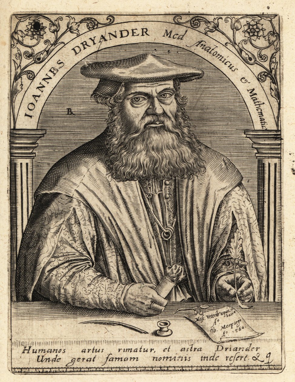 Johann Dryander német anatómus alkotó: Theodore de Bry