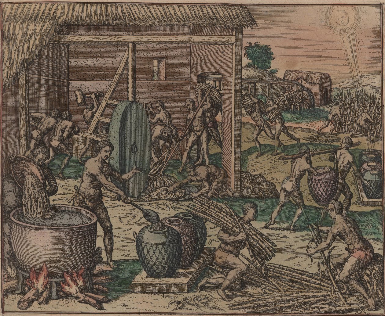 A rabszolgák cukornádat dolgoznak fel és cukrot készítenek, 1595. alkotó: Theodore de Bry
