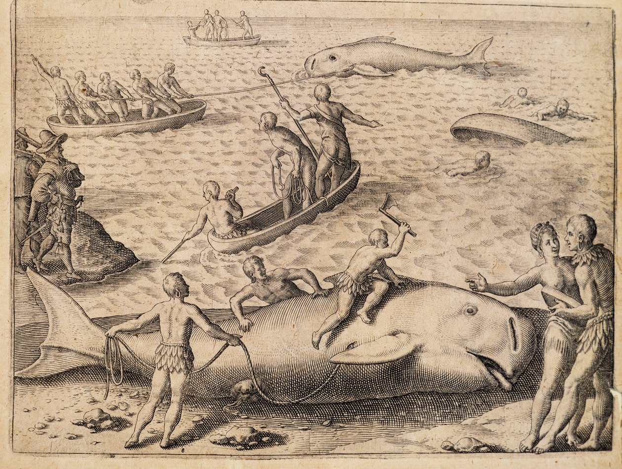 Bálnavadászat a Spitzbergák közelében, Theodor de Bry (1528-1598) metszete, India Orientalis (Kelet-India) alkotó: Theodore de Bry