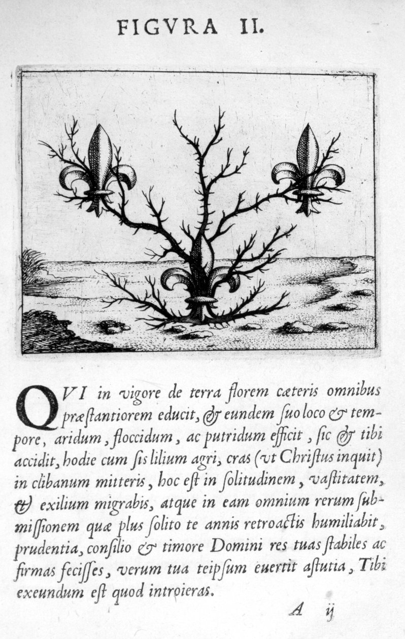 II. prófécia ábra az Eximii Doctor Paracelsus jóslatából, 1536 alkotó: Theophrastus Bombastus von Hohenheim Paracelsus