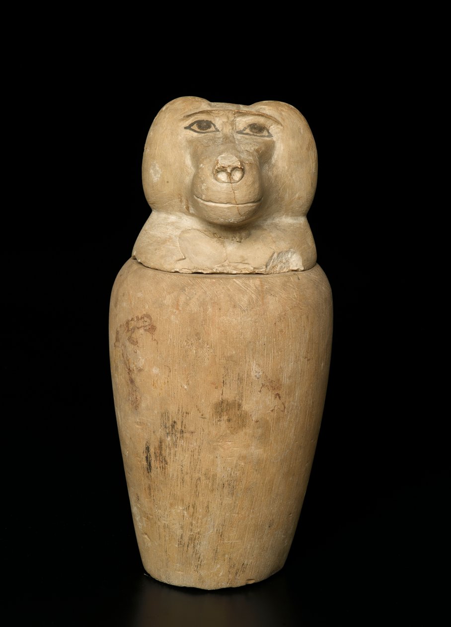 Canopic tégely (mészkő) alkotó: Third Intermediate Period Egyptian