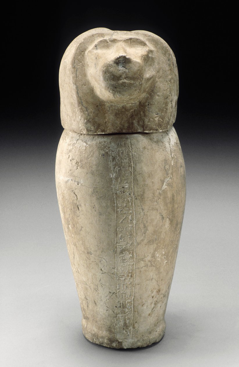 Canopusüveg cinokéval (mészkő) alkotó: Third Intermediate Period Egyptian